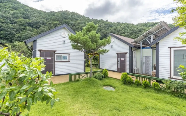 White Pension in Forest