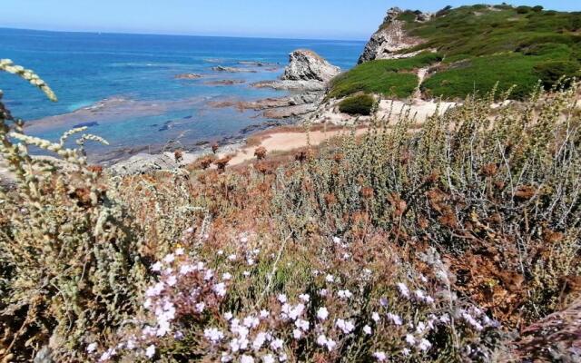 Le Palme Holidays