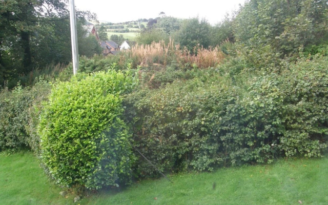 The Old Vicarage