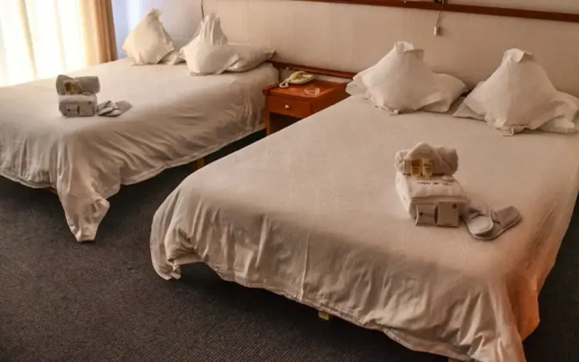 Hotel Viña del Sur