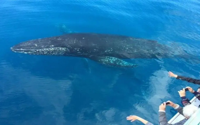 Tower Court Motel - adults only haven