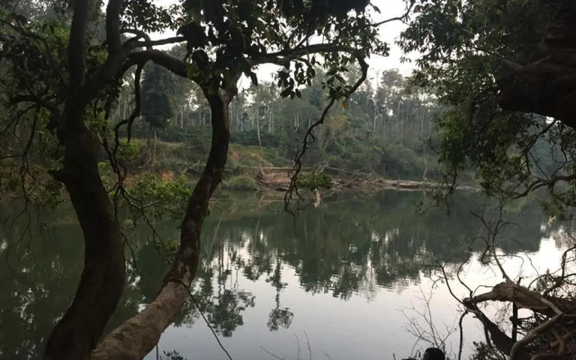 Coorg -Kunji Phad River View Homestay