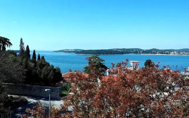 Margerita Apartment & Studio