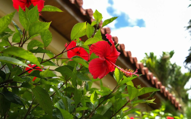 Nagahama Beach Resort Kanon