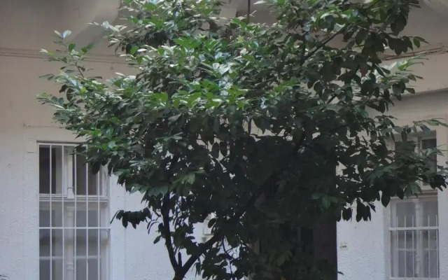 M Apartment