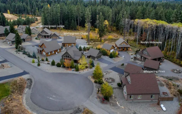 Wintergreen Chalet