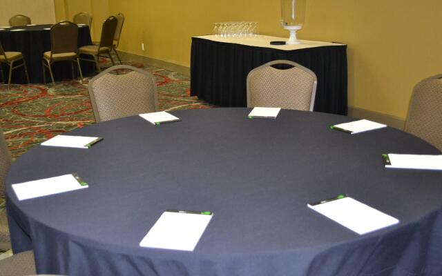 Holiday Inn Houston S - Nrg Area - Medical Center by IHG