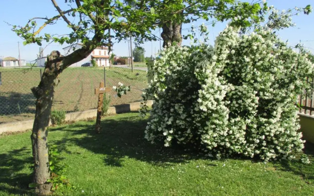Bed and Breakfast La Corte