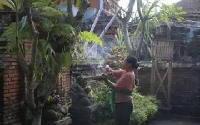 Sudiana House