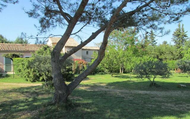 La Garrigue des Alpilles