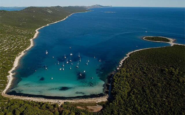 Romantic Oasis modern Apartment