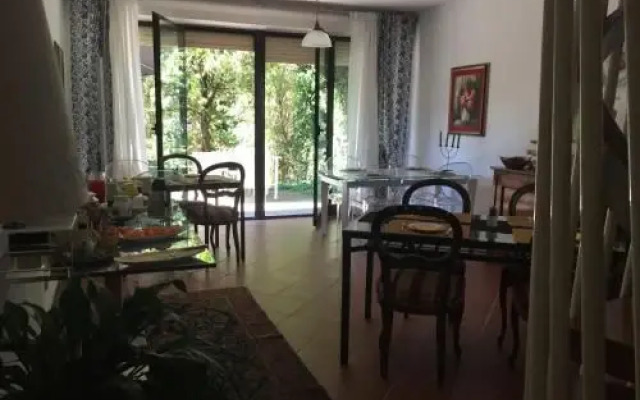 BB Casa Tomato