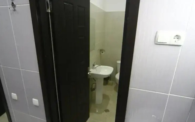 Hostel Lion