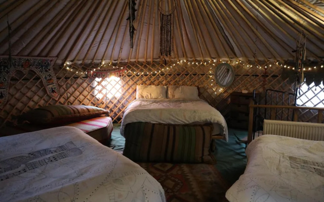 Hapus Yurt - Two Beautiful Yurts and Barn Cottage