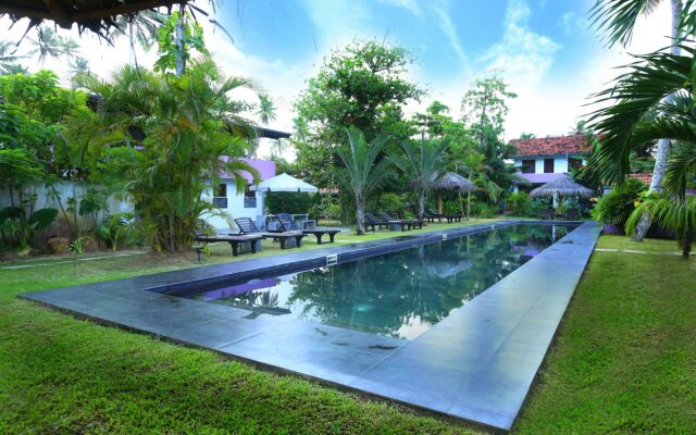 Rebirth Beach Resort