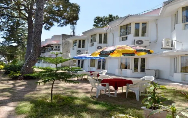 Mountain Quail Morni