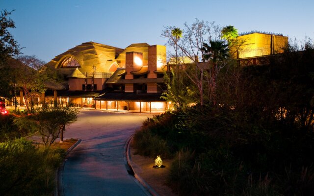 Disney's Animal Kingdom Lodge