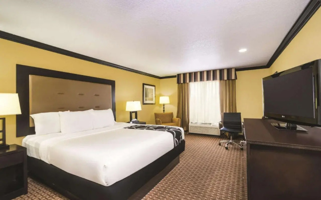 Spark by Hilton Brandon