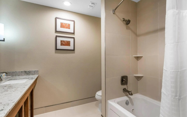Comfort Suites University