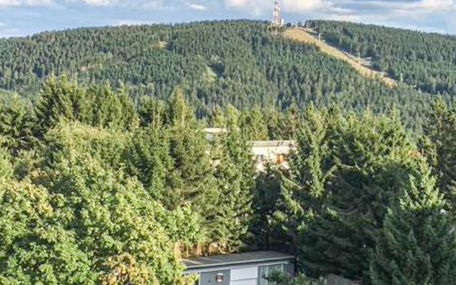 Amazing Apartment in Goslar-hahnenklee With 4 Bedrooms and Wifi