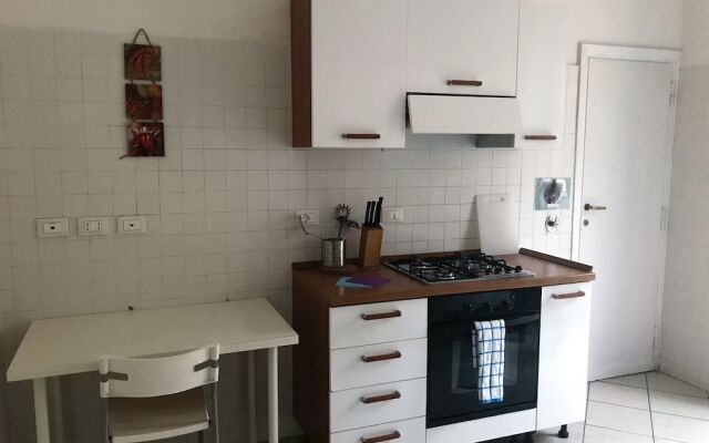 Boarding House International