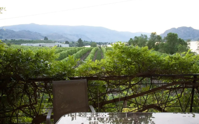 Vineyard on the Lake - 4 Bedroom Villa