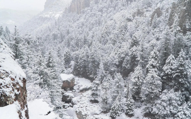 Hacienda Don Armando