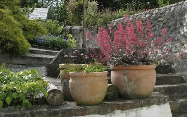 White Duck Cottage