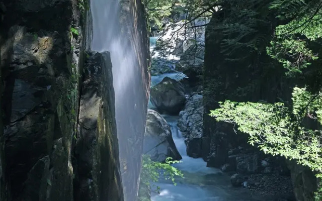 Ryori Ryokan Jumboike