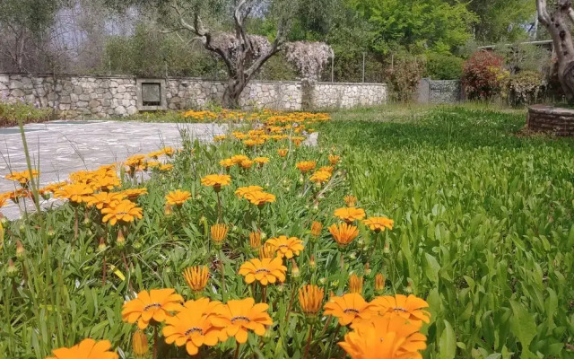 Villa Leo 1 , Dassia , Corfu