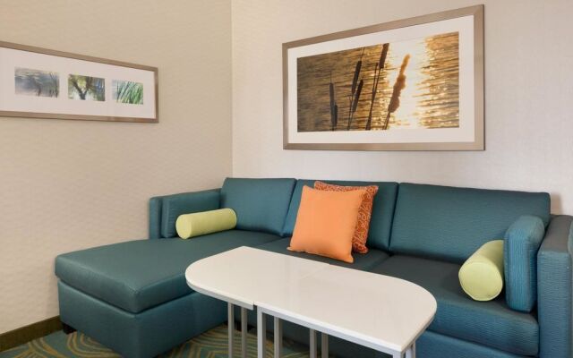 SpringHill Suites Tuscaloosa