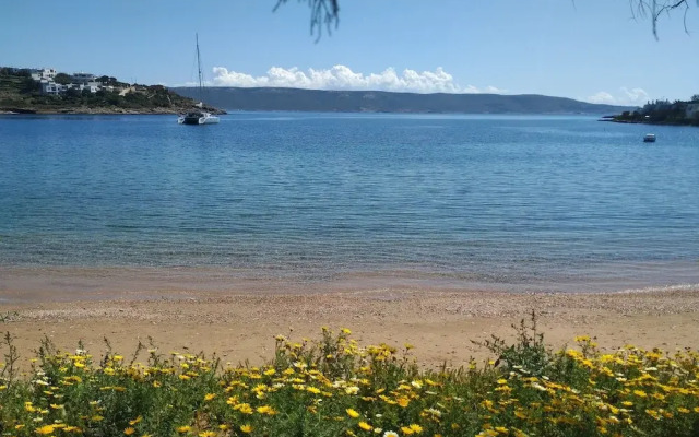 Beautiful Beach House At Sounio