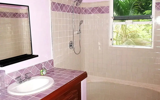 Casa Gatos