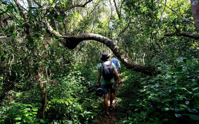 Royal Thonga Safari Lodge