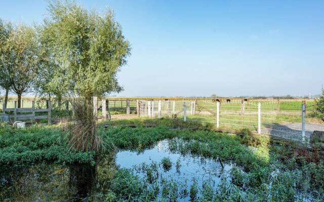 Rural Villa, 4 Kilometres From the Beach