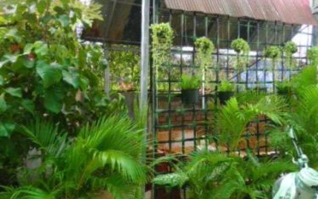 Mitapheap Guesthouse