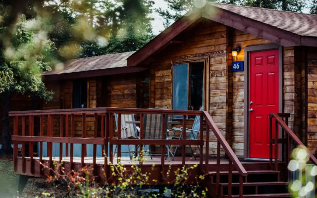 Denali Cabins