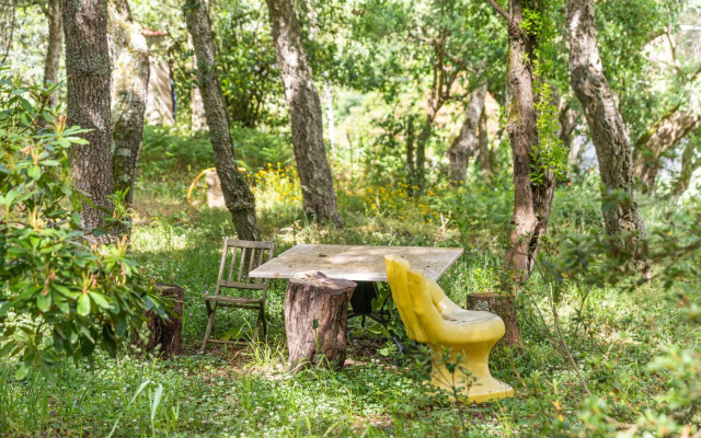Quinta biológica, com vista, na Serra de Sintra