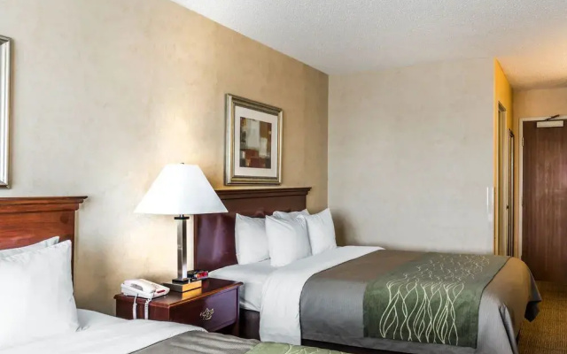 Comfort Inn Brighton