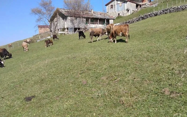 Migroras Otel & Restaurant - Karestel Yaylasi