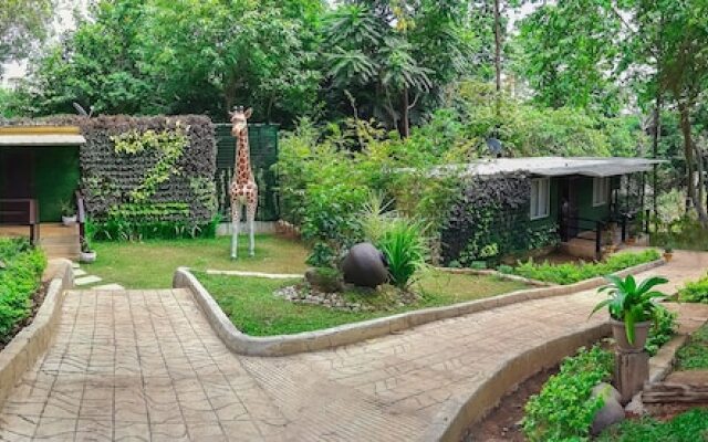 Zoobic Glampz- Subic