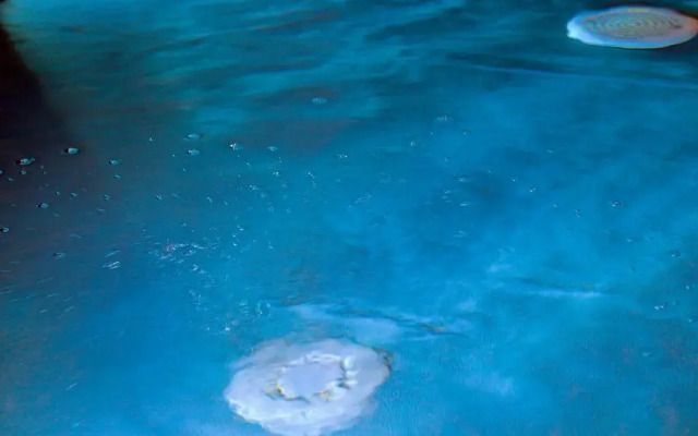 Albergo Caffe Centrale