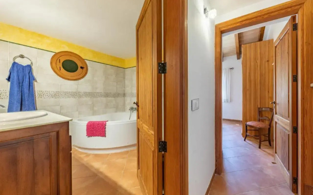 Selva-3834 Mallorca