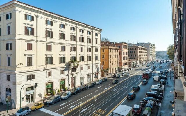 Tridomus Filiberto 233