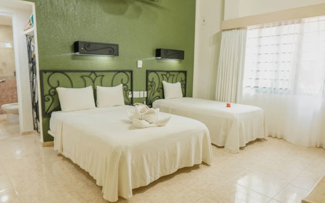 Maya Tulipanes Express