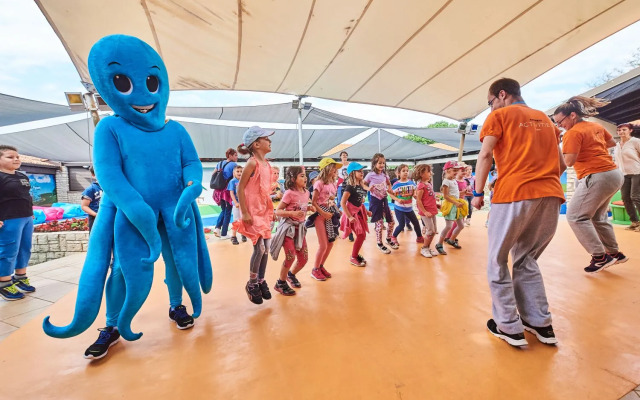 Aminess Vival Maestral Hotel