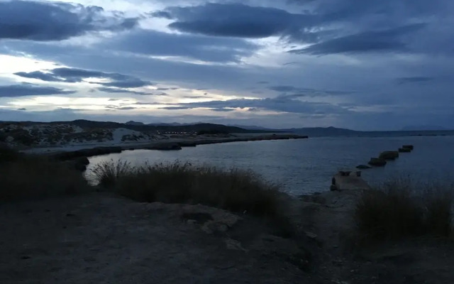 Cavalli di S'Arcaite