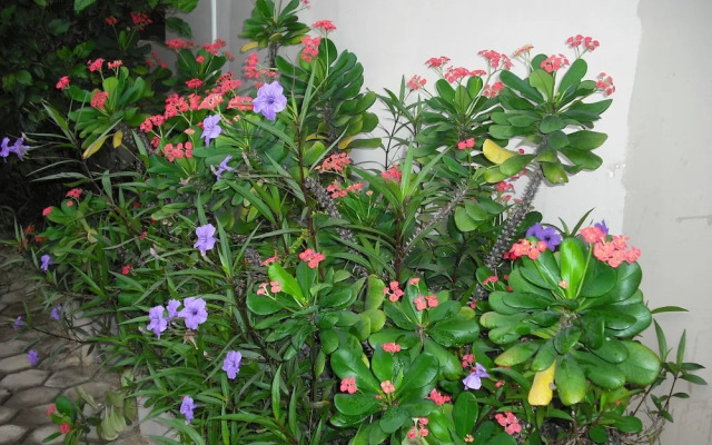 Osda Guest House