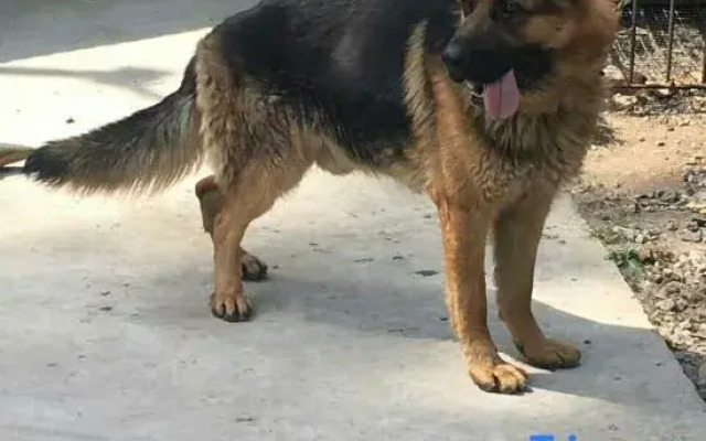 Daniwaner Guesthouse