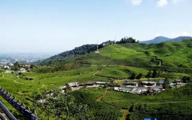 Hotel New Ayuda 2